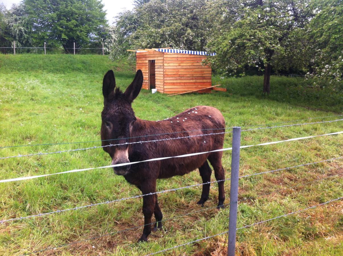La Ferme De Montaigu Bed & Breakfast Bagian luar foto
